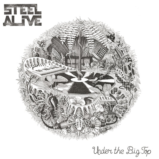 Pochette de : UNDER THE BIG TOP - STEEL ALIVE (33T)