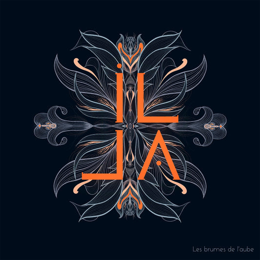 Pochette de : LES BRUMES DE L'AUBE - ILLA - DIANE DELZANT, STÉPHANE MILLERET, SYLVAIN QUÉRÉ, SÉBASTIEN TRON (CD)