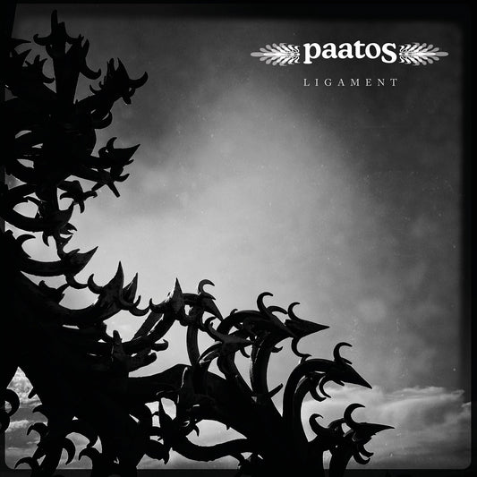 Pochette de : LIGAMENT - PAATOS (33T)
