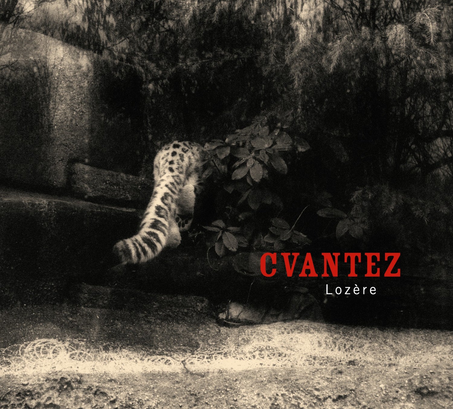 Pochette de : LOZÈRE - CVANTEZ (CD)