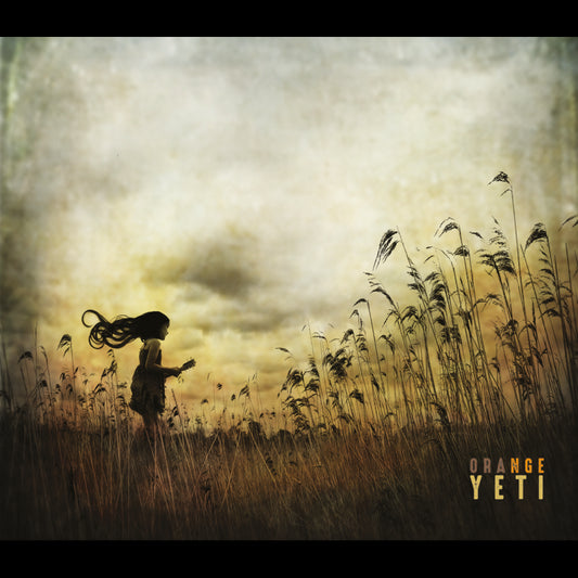 Pochette de : ORANGE YETI - ORANGE YETI (CD)