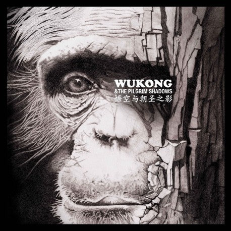 Pochette de : WUKONG AND THE PILGRIM SHADOWS - WUKONG (CD)